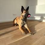 Ersteller:in Lilli Profilbild