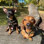 Ersteller:in Caro Profilbild