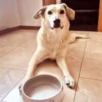 Ersteller:in Sandy Profilbild