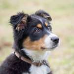 Ersteller:in Benita Profilbild