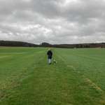 Ersteller:in Elena Profilbild