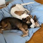 Ersteller:in Anna Profilbild