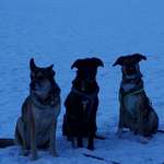 Ersteller:in Martin Profilbild