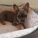 Ersteller:in Melanie Profilbild