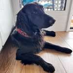 Ersteller:in Barbora Profilbild