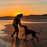 Ersteller:in Maxi Profilbild