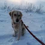 Ersteller:in Charly Profilbild