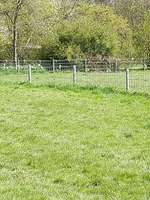 Hundeauslaufgebiet-Nachbarschaftspark-Bild