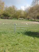 Hundeauslaufgebiet-Nachbarschaftspark-Bild