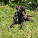 Ersteller:in Sequoia Profilbild