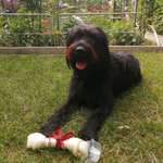 Ersteller:in Ramona Profilbild