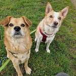 Ersteller:in Nicole Profilbild