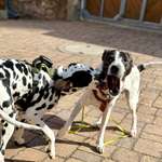 Ersteller:in Lea Profilbild