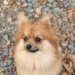 Ersteller:in Mandy Profilbild