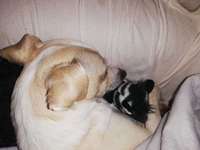 müde der kleine-Beitrag-Bild