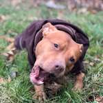 Ersteller:in Julia Profilbild