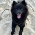 Ersteller:in Ilayda Profilbild