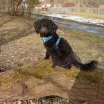 Ersteller:in Nadine Profilbild