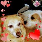 Ersteller:in Elke Profilbild