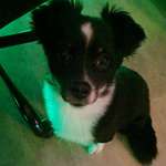 Ersteller:in Heike Profilbild