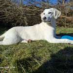 Ersteller:in Pia Profilbild