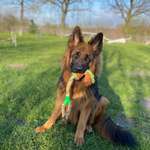 Ersteller:in Melanie Profilbild