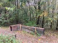 Hundeauslaufgebiet-Hundeauslauf Scharbeutz (Wald)-Bild