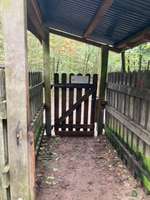 Hundeauslaufgebiet-Hundeauslauf Scharbeutz (Wald)-Bild