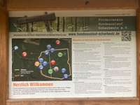 Hundeauslaufgebiet-Hundeauslauf Scharbeutz (Wald)-Bild