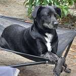 Ersteller:in Melanie Profilbild