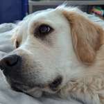 Ersteller:in Sabrina Profilbild