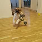 Ersteller:in sami Profilbild