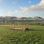 Hundeauslaufgebiet-Freilauffläche-Bild