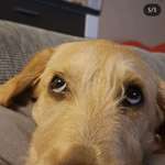 Ersteller:in der cool Profilbild