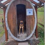 Ersteller:in A Profilbild