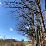 Ersteller:in Tatjana Profilbild