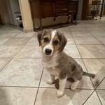 Ersteller:in Hanna Profilbild