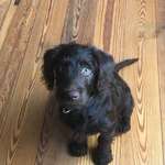 Ersteller:in Janek Profilbild