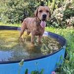 Ersteller:in Anja Profilbild