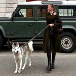 Ersteller:in Darya Profilbild