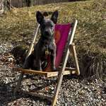 Ersteller:in Madeline Profilbild