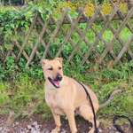 Ersteller:in vanessa Profilbild