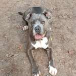 Ersteller:in Petra Profilbild