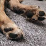 Ersteller:in Silke Profilbild