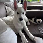 Ersteller:in Larissa Profilbild