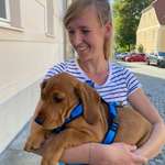 Ersteller:in Susi Profilbild