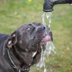 Ersteller:in Sabine Profilbild