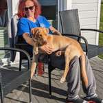 Ersteller:in Steffi Profilbild