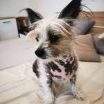 Ersteller:in Haenna Profilbild