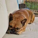 Ersteller:in Lisa Profilbild